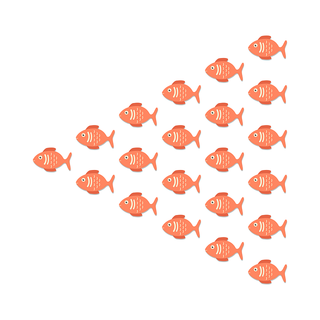 Free fish sea group vector