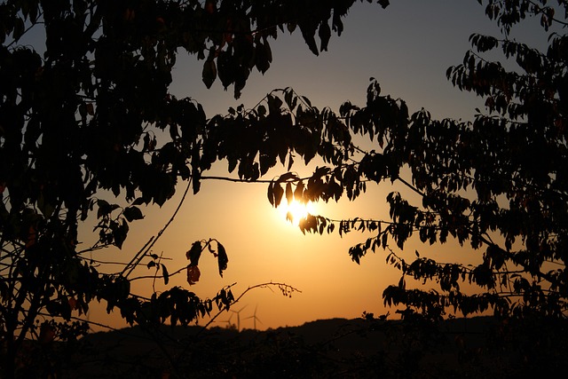 Free Sunset Sun photo and picture
