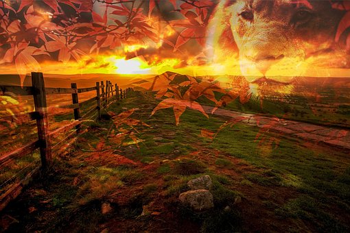 Free Way Natureza photo and picture