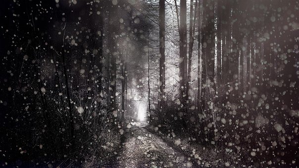 Free Sentimento Caminho photo and picture
