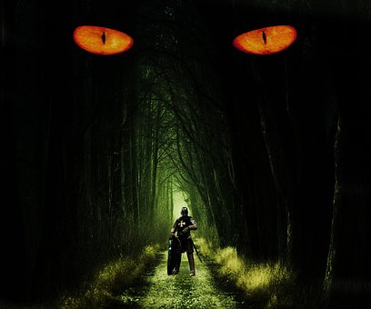 Free Forest Dark photo and picture