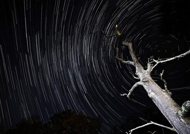 Free Stars Astro photo and picture