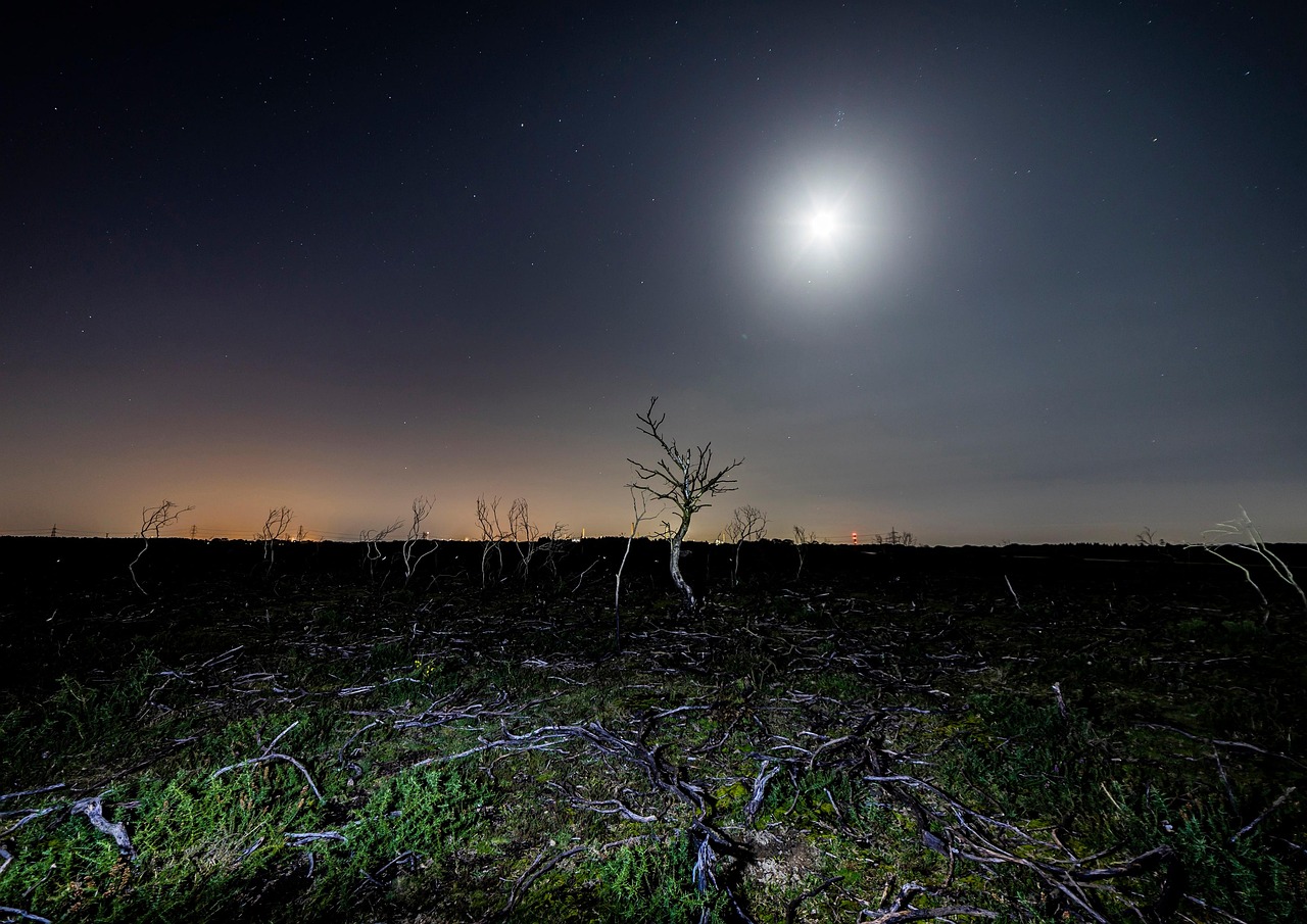 Free Stars Landscape photo and picture
