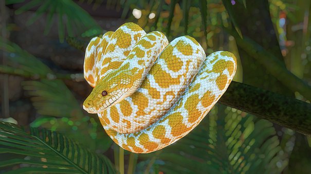 Free Snake Cobra illustration and picture