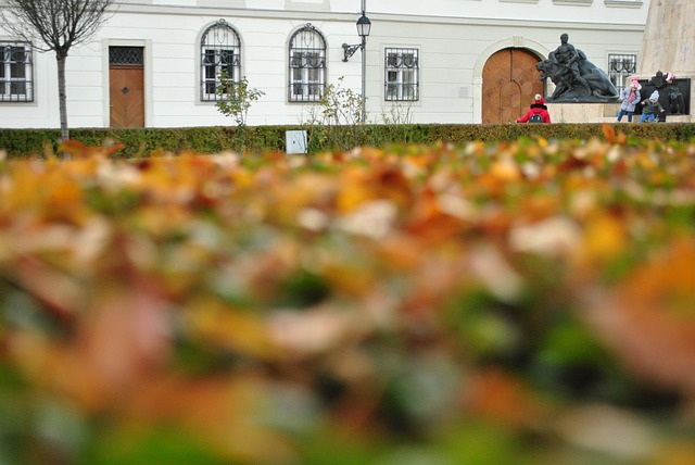 Free Vac Baroque photo and picture