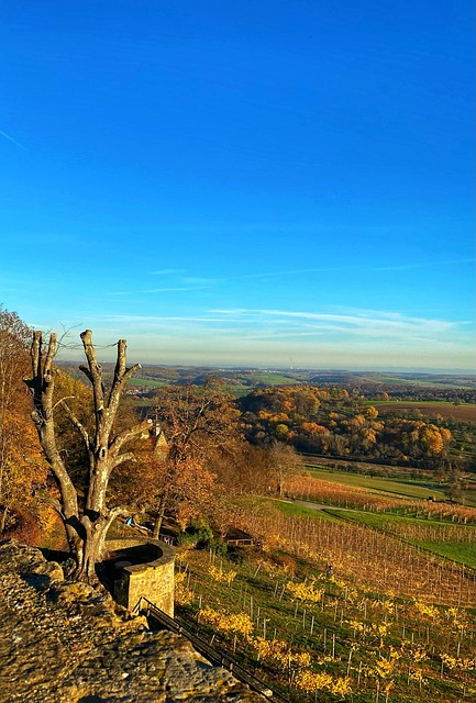 Free Fall Autumn Mood photo and picture