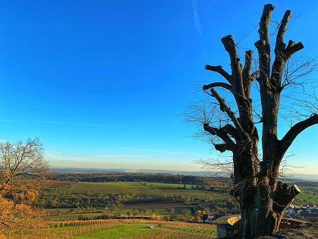 Free Fall Autumnal photo and picture