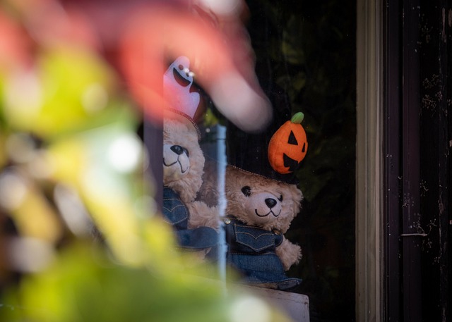 Free Teddy Bear Waiting photo and picture