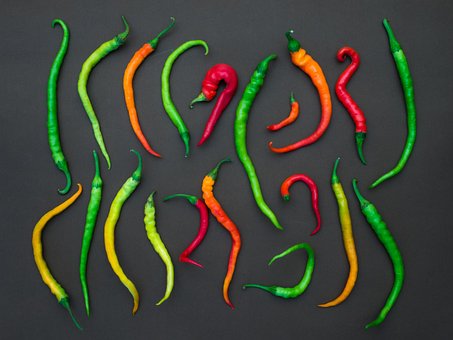 Free Pepper Red Pepper photo and picture