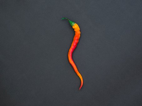 Free Pepper Red Pepper photo and picture