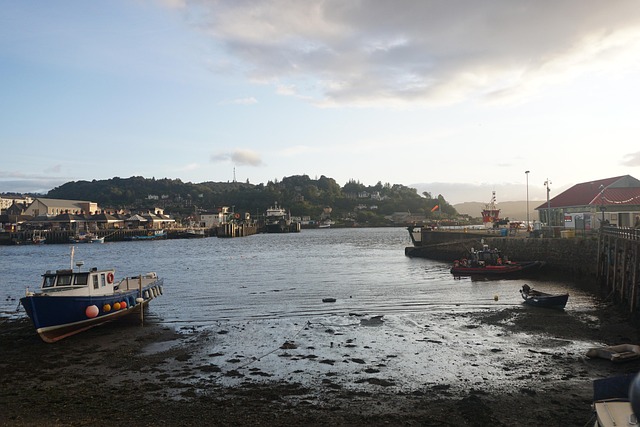 Free Boat Harbor photo and picture