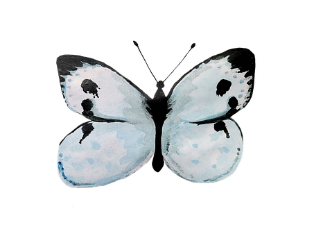Free Butterfly Watercolor illustration and picture