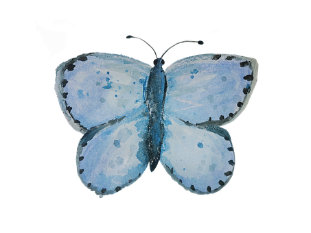 Free Butterfly Modraszek illustration and picture