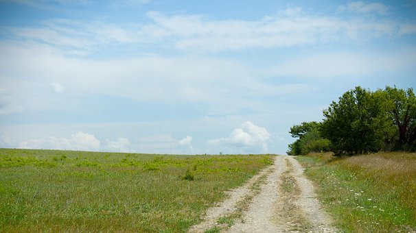 Free Field Grass photo and picture