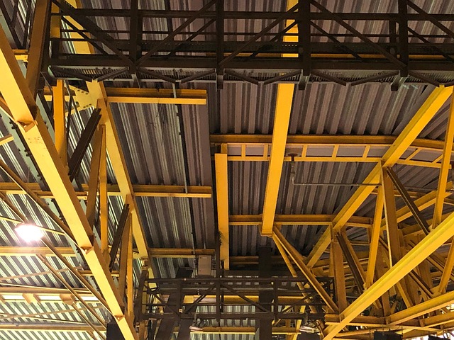 Free Bvb Signal Iduna Park photo and picture