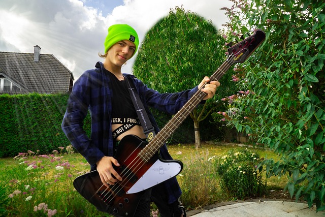 Free Bass Guitar photo and picture