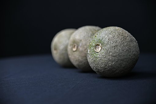 Træ-Æble, Frugt, Natur, Mad, Frisk