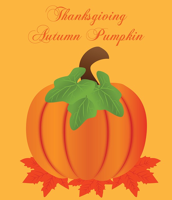 Free Thanksgiving Pumpkin illustration and picture