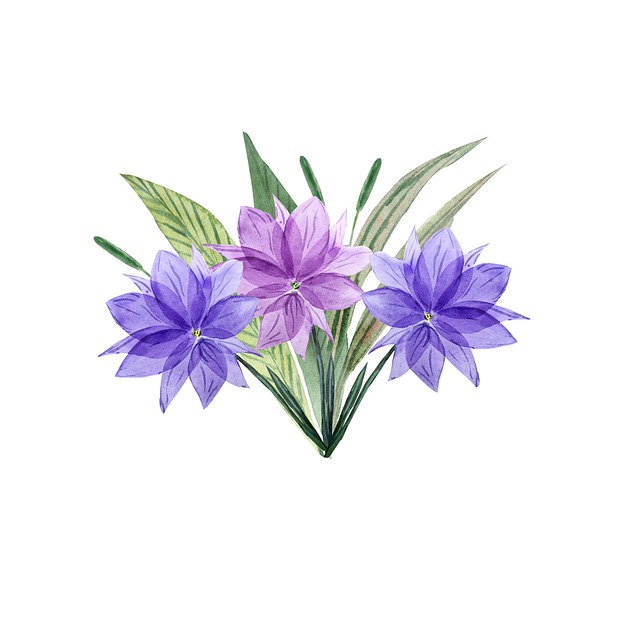 Free flowers petals nature illustration