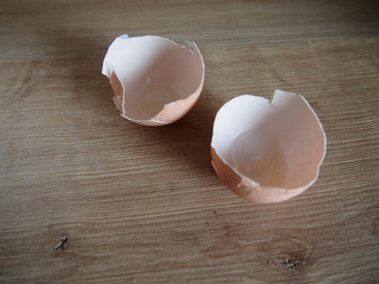 Egg Eggshell Shell To Free photo on Pixabay Pixabay