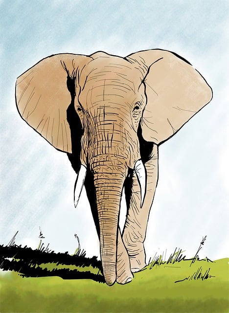 Elefant, Natur, Stødtænder, Pattedyr