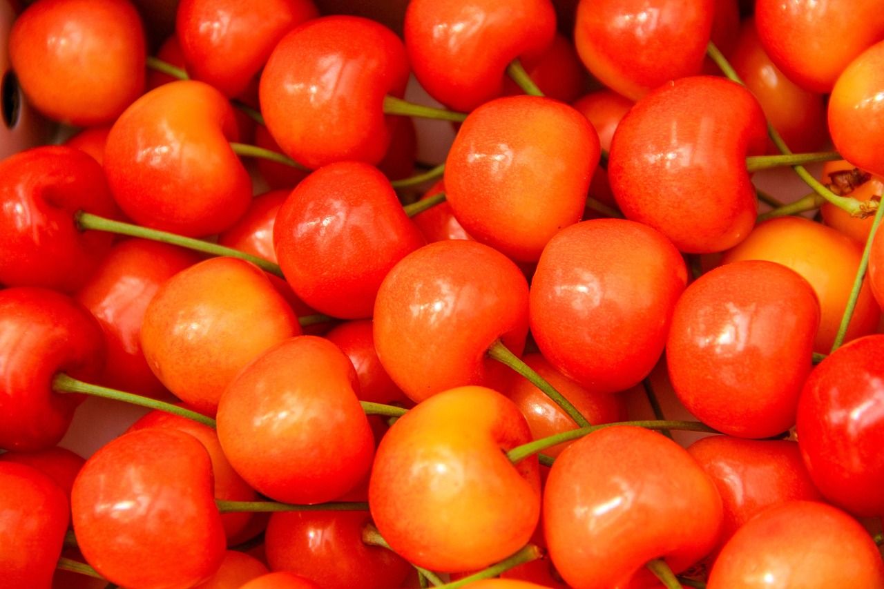 Cherry Fruit Orange Free photo on Pixabay Pixabay