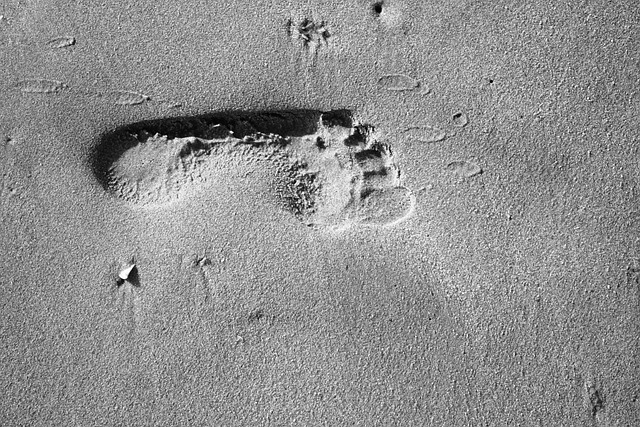 Free Foot Footprint photo and picture