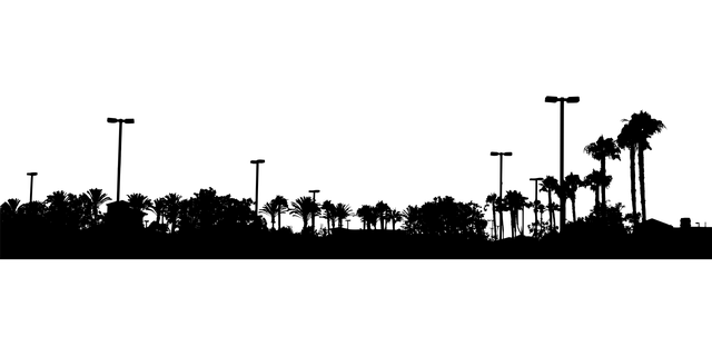 Bygninger, Palmer, Silhuet, Tropisk, By