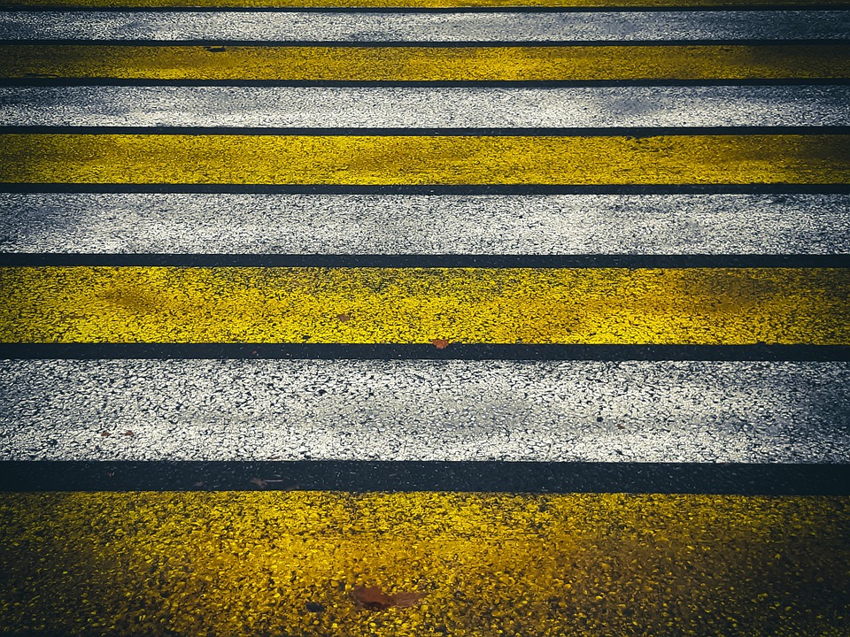 Walk Path Zebra Walking Zebra Pedestrian - Free photo on Pixabay - Pixabay