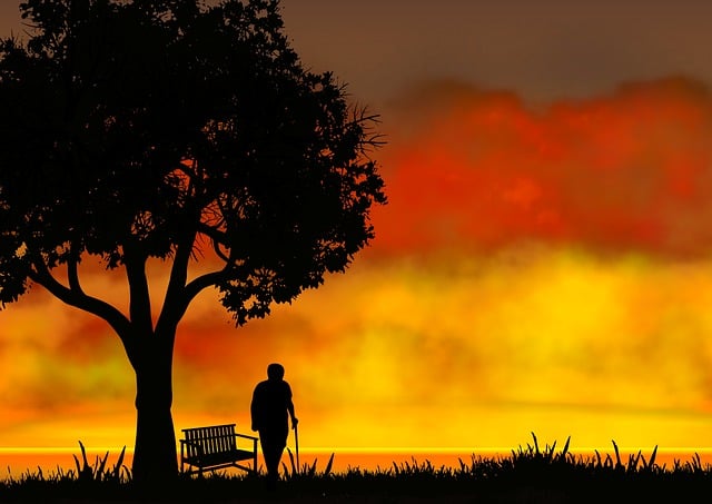 Free sunset nature old man illustration