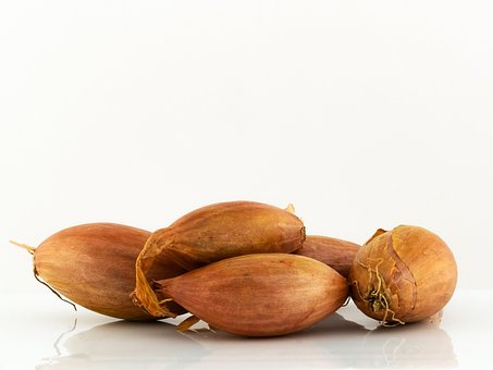 Free Shallot Bulb photo and picture