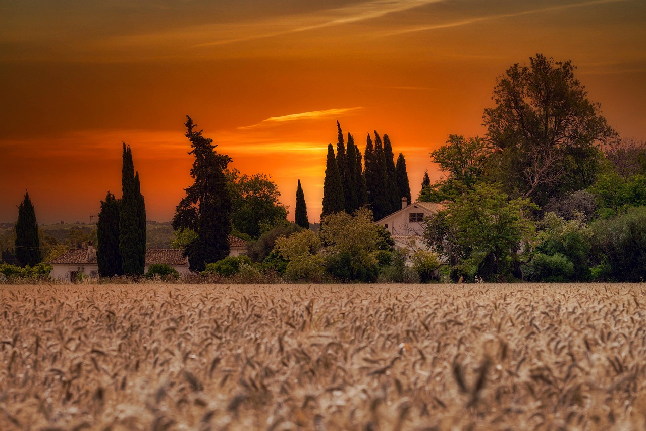 Häuser Stadt Dorf - Kostenloses Foto auf Pixabay - Pixabay