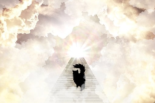 Free Heaven Stairs illustration and picture