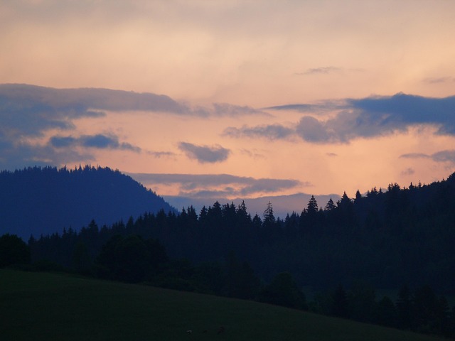 Bäume, Berge, Sonnenaufgang, Silhouette