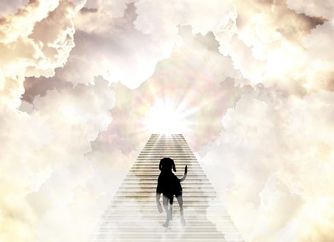 Free Heaven Stairs photo and picture
