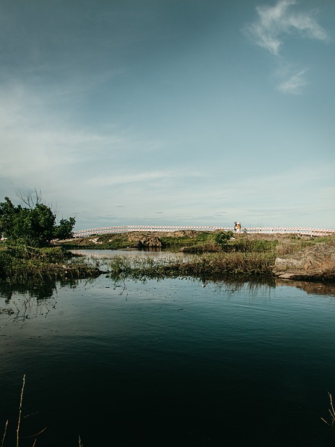 Lago, Céu, Meios De Comunicação Sociais