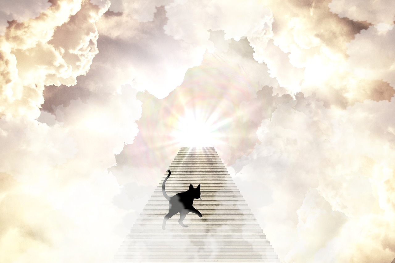 Download Heaven, Stairs, Cat. Royalty-Free Stock Illustration Image