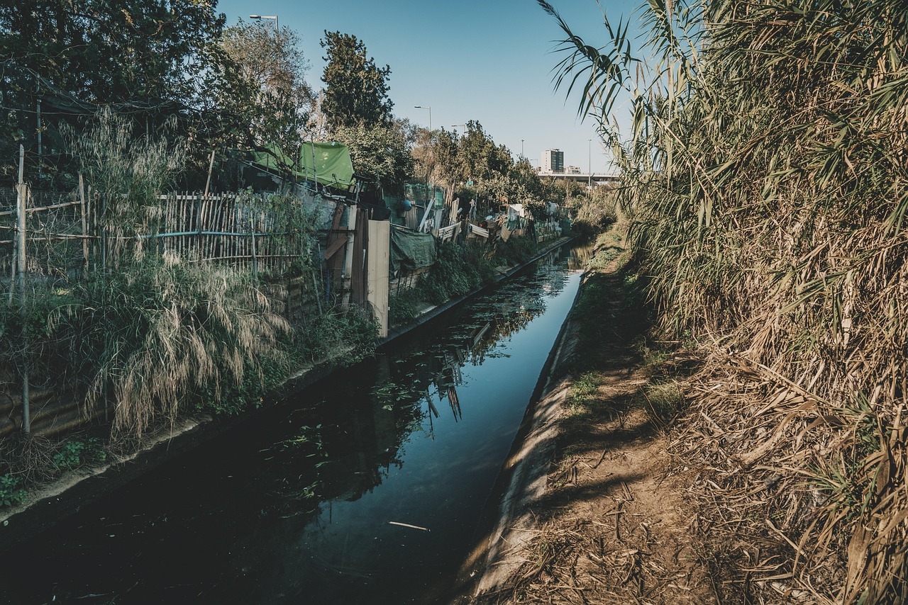 Rec Comtal Cano Water - Free photo on Pixabay - Pixabay