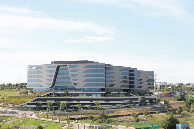 Free Johannesburg Skyline African Building photo and picture
