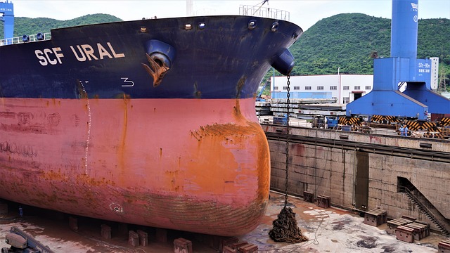 Free The Site Dock photo and picture