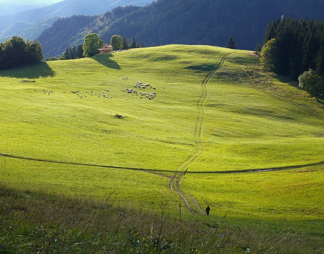 Free Meadow Hills photo and picture