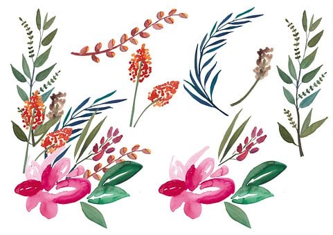 Free Flowers Leaves illustration and picture