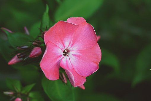 2억원 사채빚 개인회생 예상상환금3