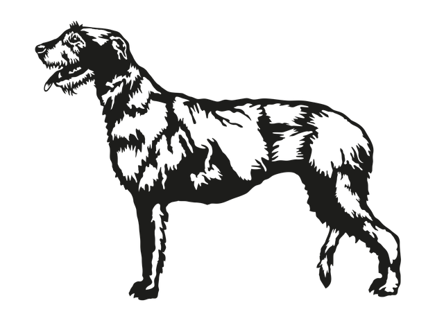 Free Irish Wolfhound Dog vector and picture