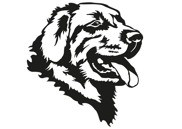 Free Golden Retriever Head vector and picture