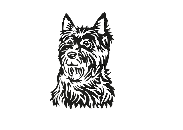 Free West Highland White Terrier Head vector and picture