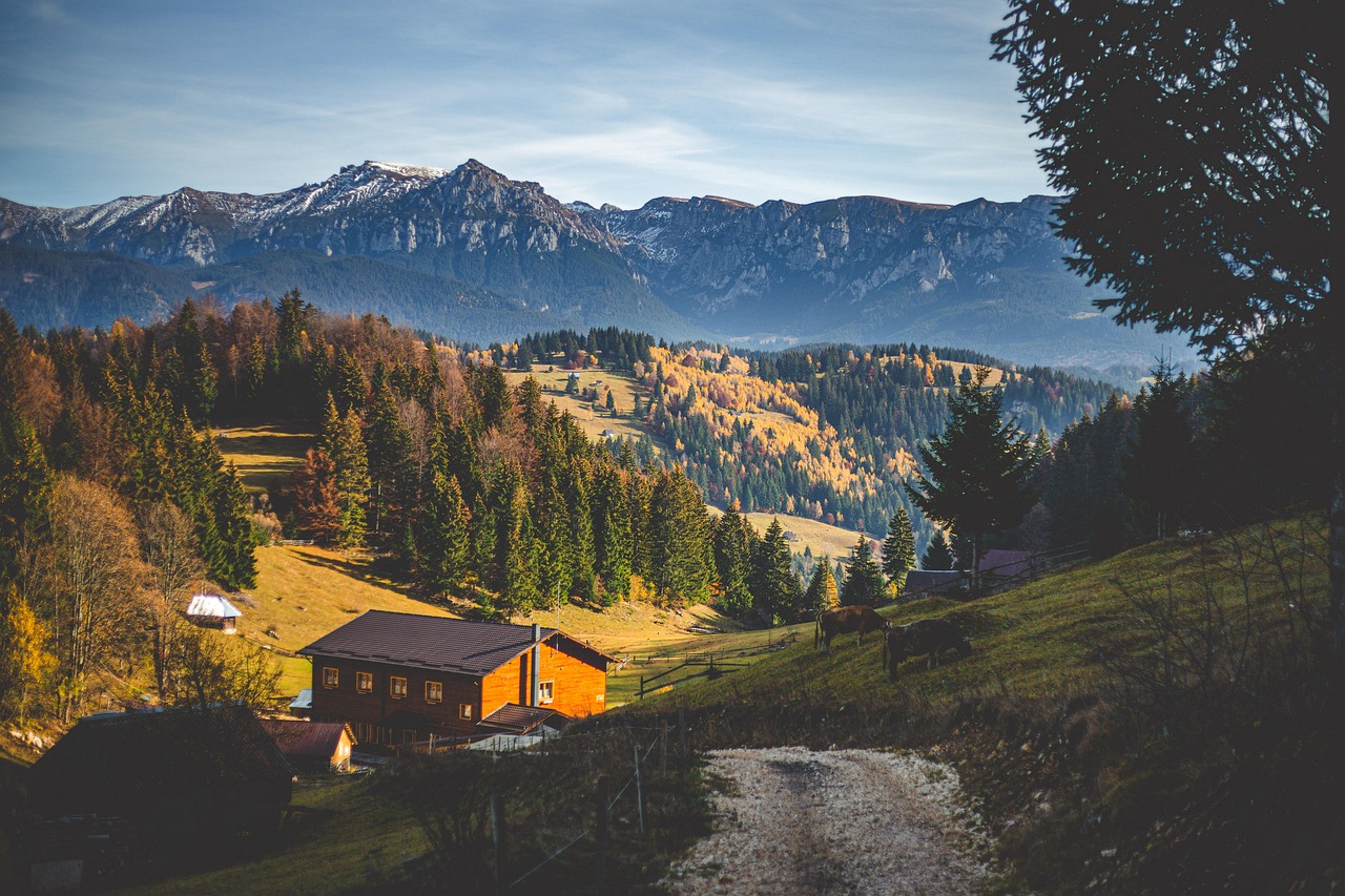Mountain Huts - free online jigsaw puzzle photo