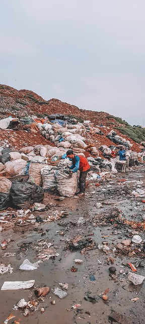 Free Dump Area Workers photo and picture