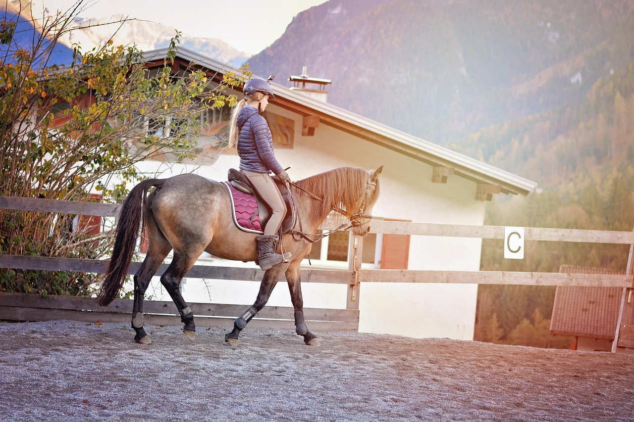 Pony Horse Riding - Free photo on Pixabay