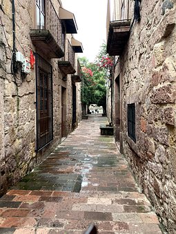 Calle, Naturaleza, Pueblo, Árboles